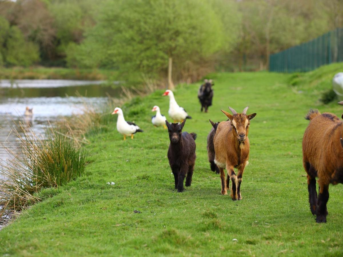 Gites De La Ferme De Vur Ven Gouvieux Kültér fotó